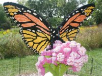 MortonArb Legos Butterfly-2 : Morton Arboritum